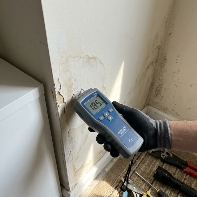 moisture meter reading on water-damaged wall in Oklahoma - mold prevention inspection